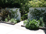 Gate enclosing garden